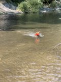 Swimming Adventures in the Backwoods