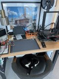 Desk Napper