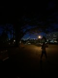 Moonlit Walk through the City