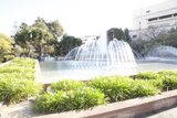 Serenity in the City