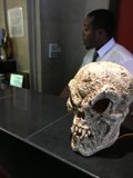 Skull in a Formal Setting