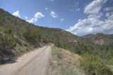 Serene Dirt Road in the Wilderness