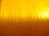 Illuminated Wood