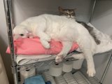 Bathroom Buddies