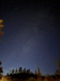 Whispers of the Night Sky