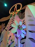 Illuminating Floral Display