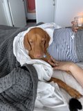 Snuggle Buddies