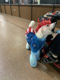 Patriotic Poodle on a Scooter