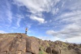 Standing Tall on a Joshua Tree Rock