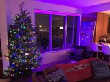 Festive Living Room with Purple-Lit Christmas Tree