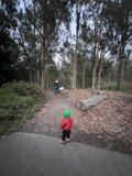 Exploring the Wonder of Wilderness: First Steps into the Forest