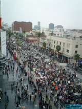 Power to the People: Protest in the Heart of Downtown