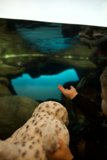 Interactive Aquatic Adventure at the November Academy of Sciences