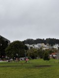 A Day in Duboce Park