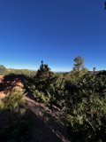 The Majestic Mountains of Tesuque