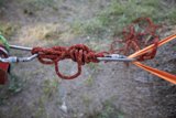 Tie Up and Ride Away