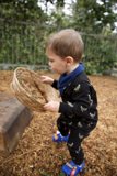 Joyful Playground Days