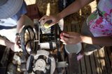 Operating the Apple Sorting Machine