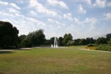 Serenity in the Fountain Field