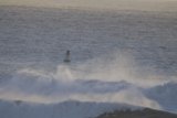 Riding the Pacifica Wave, 2023.
