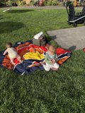 Playground Delight at the Botanical Garden