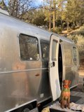 Holiday Road Trip with Man's Best Friend