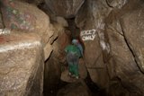 Scaling Nature