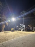 Nocturnal Glow in the Desert Oasis