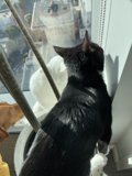 Gazing Out the Window