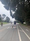 A Walk with the Pup and Bikers