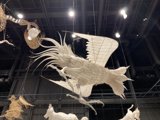 Paper Menagerie