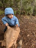 Whimsical Encounter in Marin Headlands