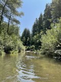 Serene Kayaking in the Heart of Nature