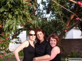 Fruit Picking with Friends