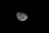 Lunar Majesty in Monochrome