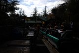 Thrills and Chills on the Roller Coaster