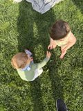 Tiny Explorers in Green