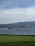 A Serene View of the Pebble Beach Golf Course