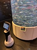 Vibrant Intersection of Technology and Aquatic Life