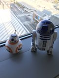 Robotic Window Dwellers