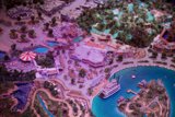 Mesmerizing Miniature: The Future of Aquatic Entertainment