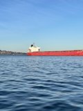 Red Freighter on the Bay
