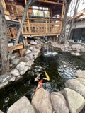 Serene Koi Pond with Cascading Waterfall