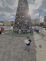 Child Playing Near Large Christmas Tree Display