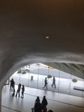 Terminal Wanderlust