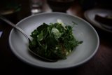 Fresh Greens at Charter Oak Potluck