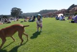 Summer Fun: A Day at the Park
