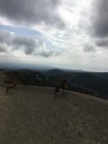 Hillside Run
