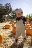 Wesley's Grand Pumpkin Adventure