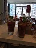 Bloody Drinks on a Sunny L.A. Counter